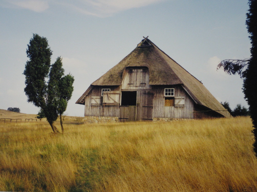 Einsames Haus in der Lüneburger Heide