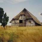 Einsames Haus in der Lüneburger Heide