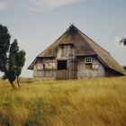 Einsames Haus in der Lüneburger Heide