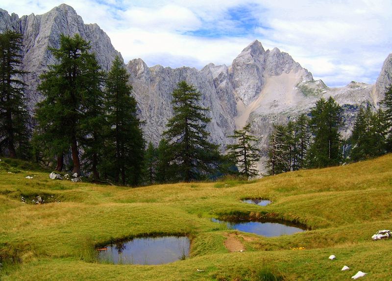 Einsames Hochmoor