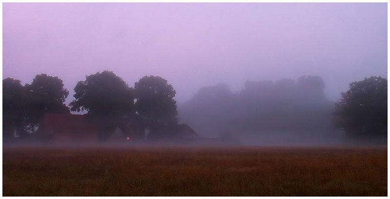 Einsames Licht im Nebel