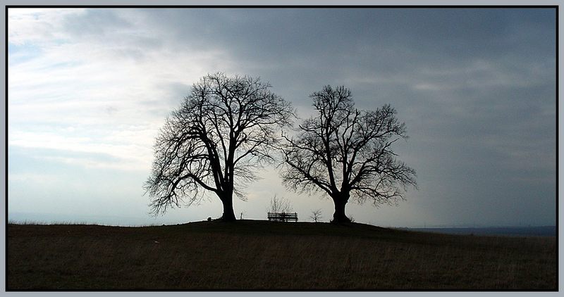 Einsames Pärchen