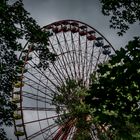 Einsames Riesenrad im Spreepark (Plänterwald - Kulturpark)