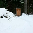 einsames Shit Hus mitten im Wald