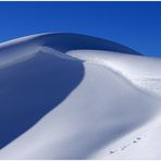 Einsames Tännchen, die Ästhetik des grossen Schnees bestaunend