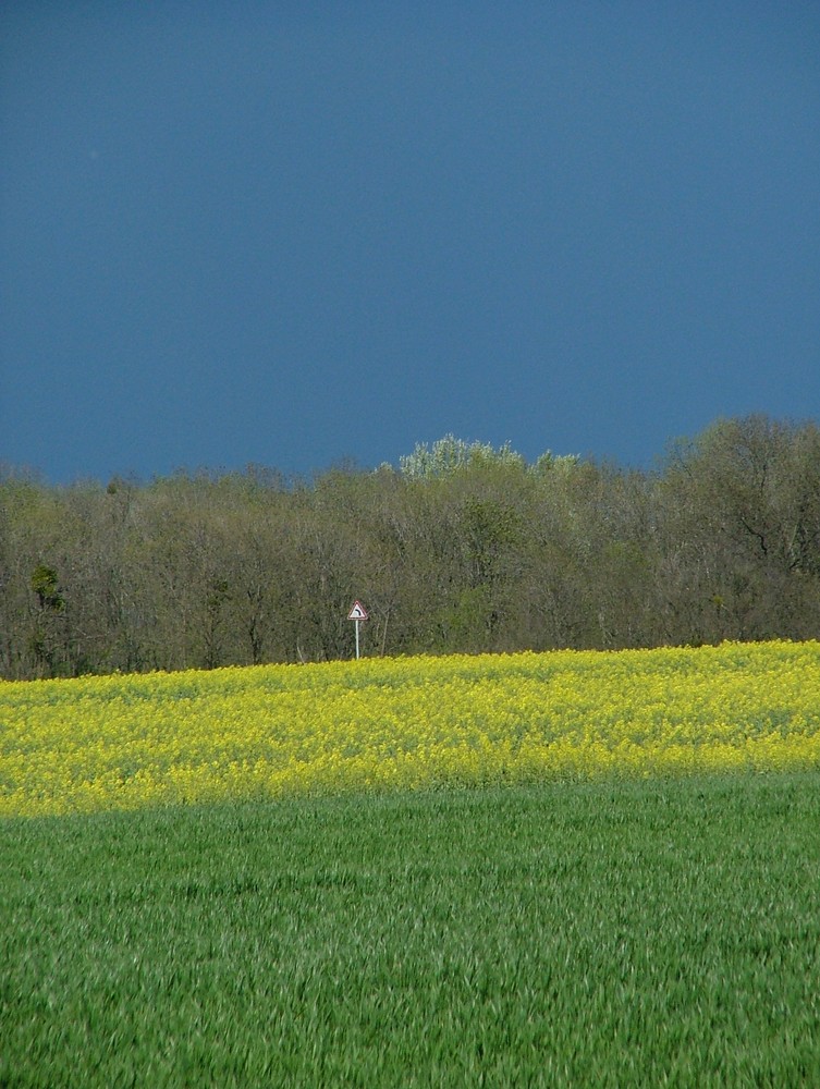 Einsames Verkehrsschild - dahinter ein aufziehendes Gewitter