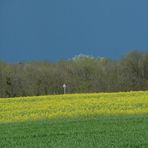 Einsames Verkehrsschild - dahinter ein aufziehendes Gewitter