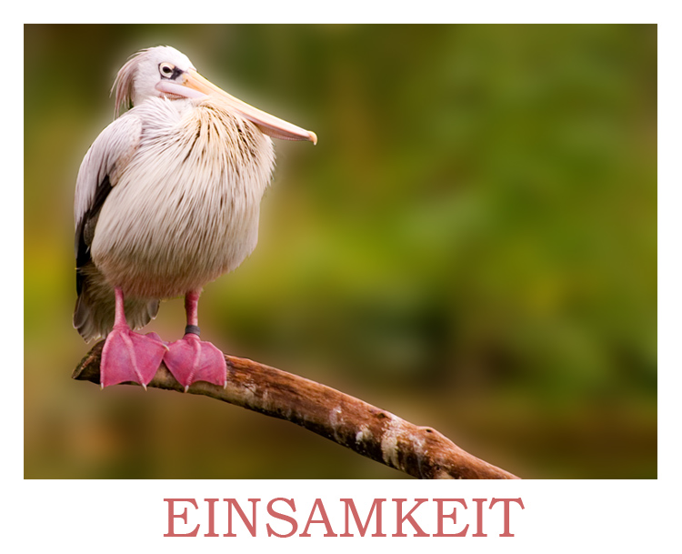 EINSAMKEIT