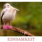 EINSAMKEIT