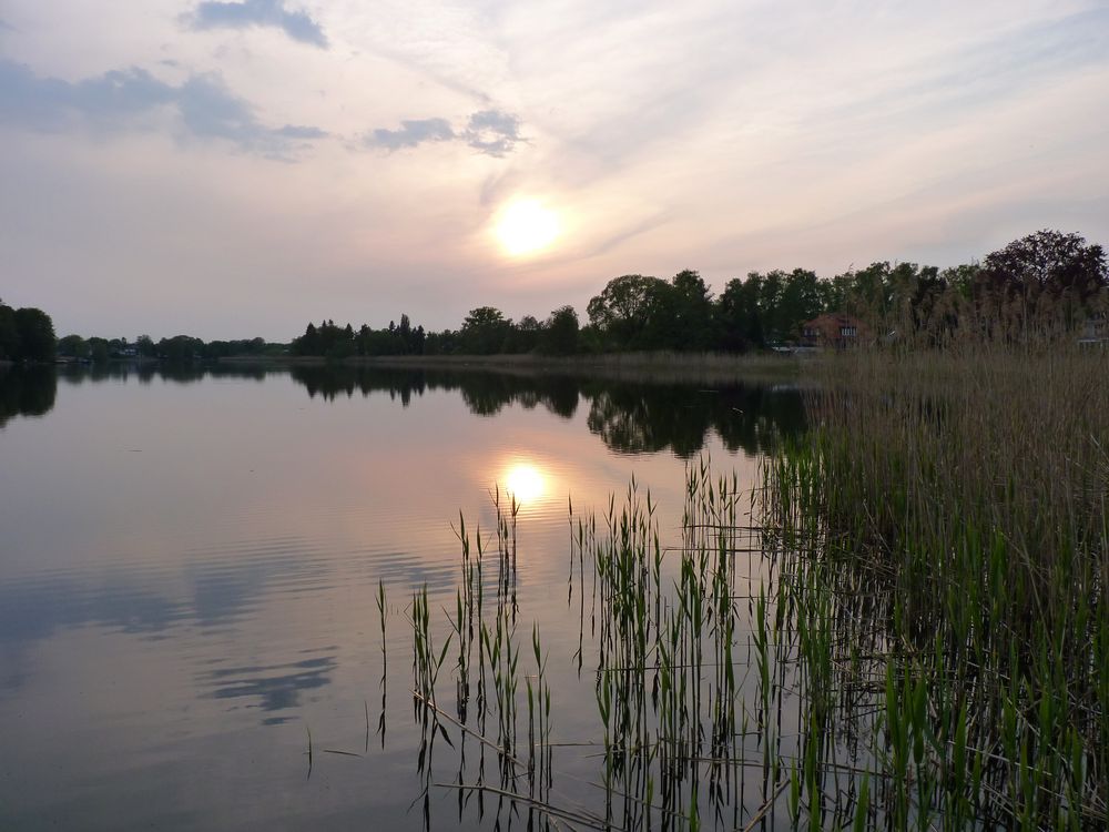 Einsamkeit am See