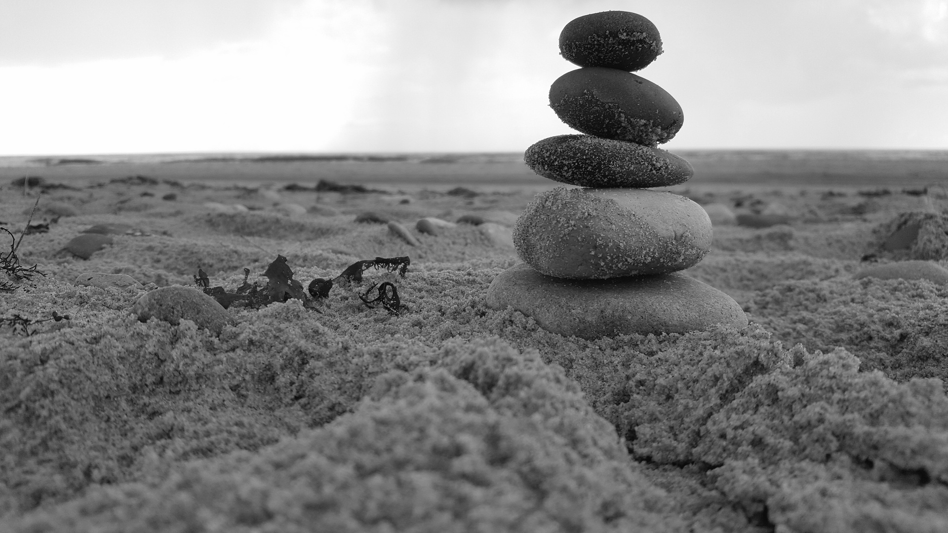 Einsamkeit am Strand (sw)