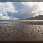 Einsamkeit am weiten Strand