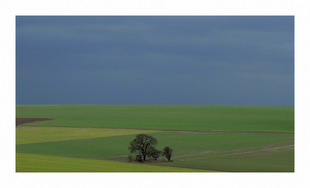 Einsamkeit auf dem Haarstrang