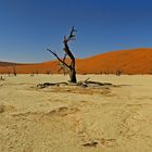 Einsamkeit -- Deadvlei - Namibia