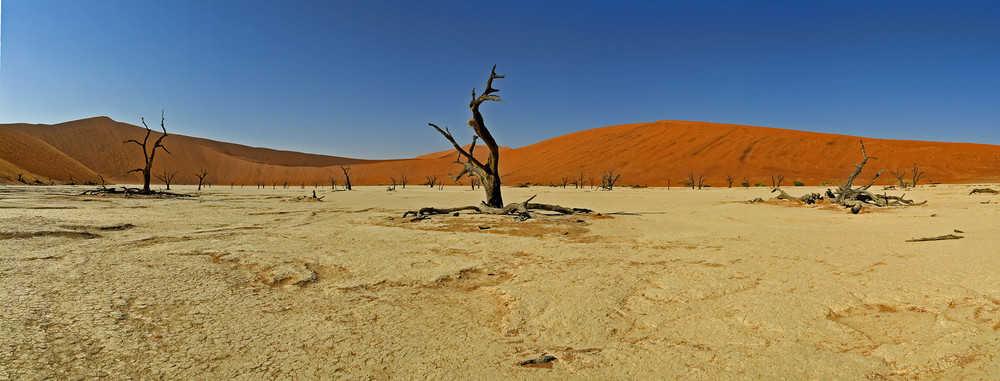 Einsamkeit -- Deadvlei - Namibia
