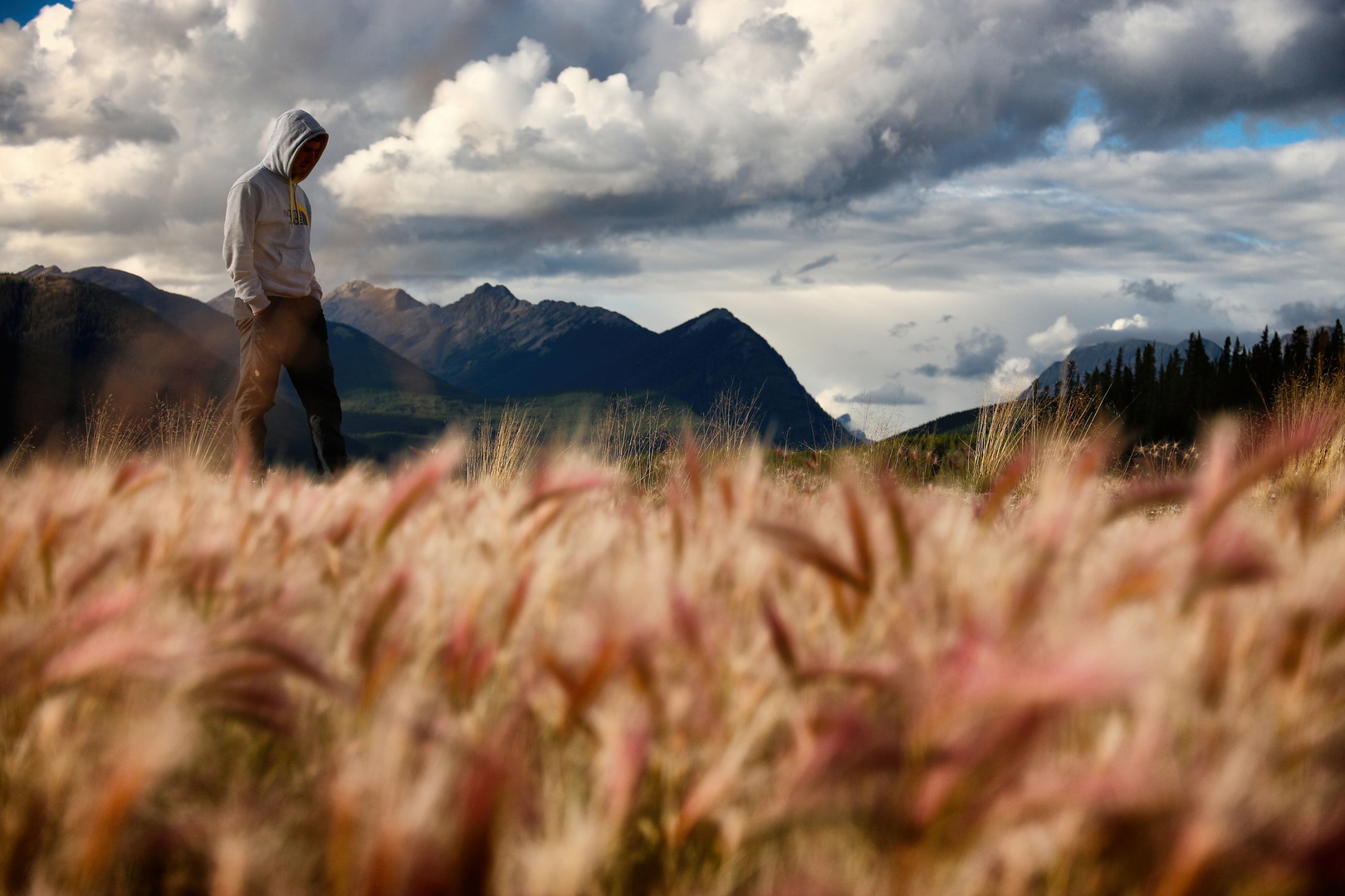 Einsamkeit der Berge