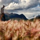 Einsamkeit der Berge