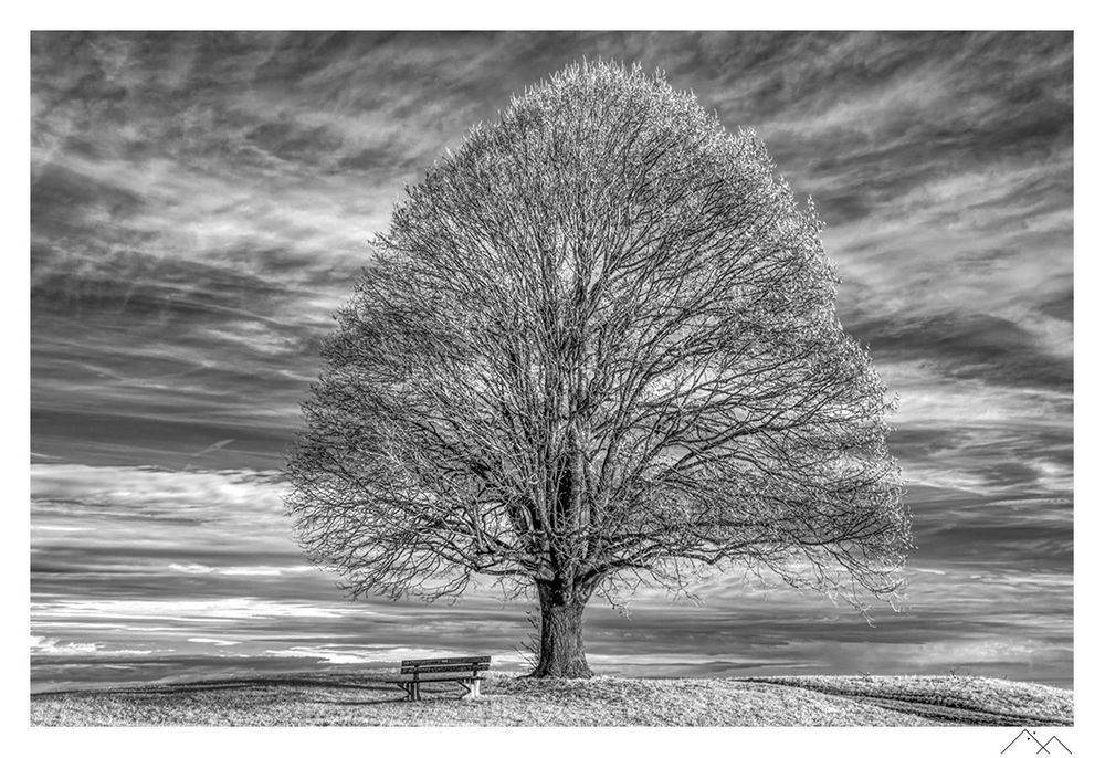 Einsamkeit Foto & Bild | landschaft, infrarot, techniken Bilder auf