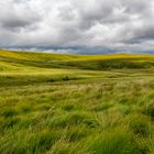 Einsamkeit im Dartmoor