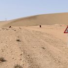 Einsamkeit im Sperrgebiet bei Lüderitz