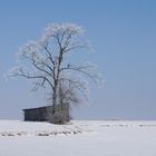 Einsamkeit  in Franken