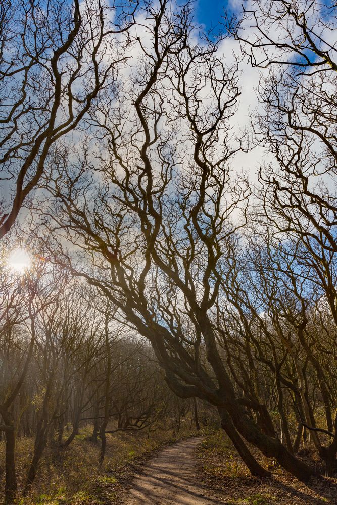 Einsamkeit in wilder Landschaft