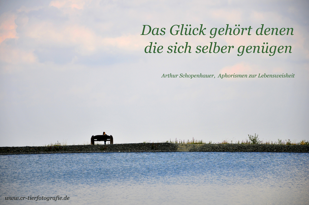 Get Sich selbst genuegen For Free