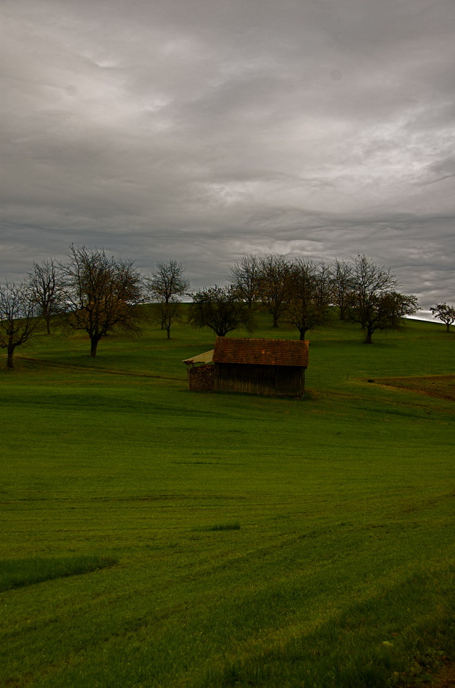 Einsamme Hütte auf grünem Hügel