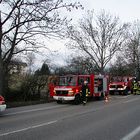 Einsatz an der Landesstraße......