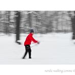 Einsatz - bis sich die Stecken biegen.