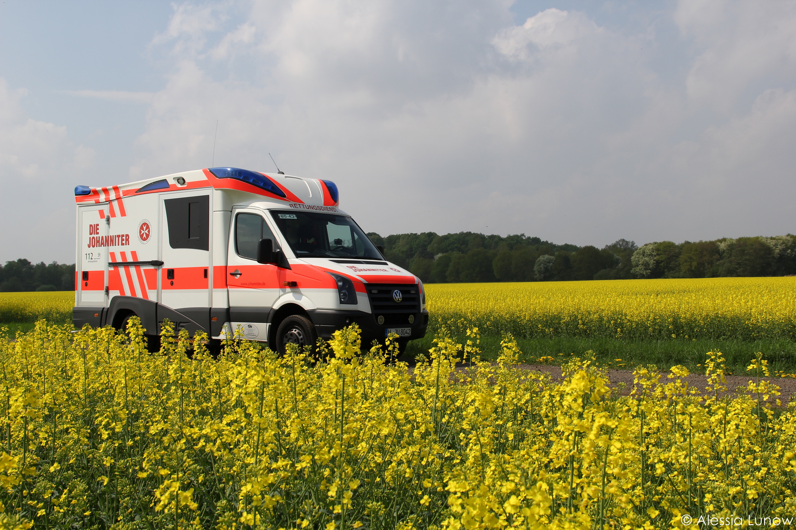 Einsatz im Rapsfeld (2)