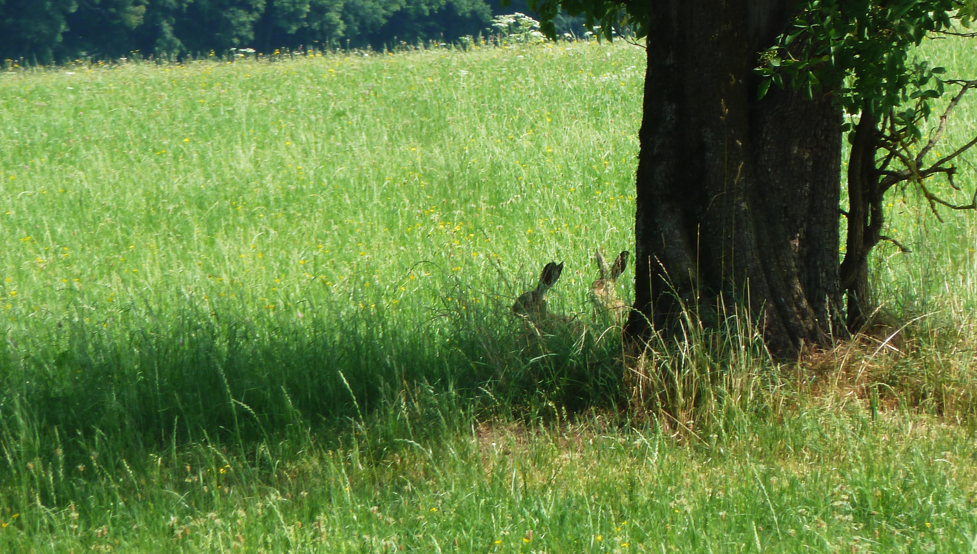 einsatzbereit? - denn Ostern naht!