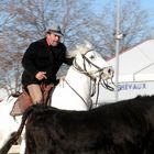 "Einsatz".....der Stier muß raus.......