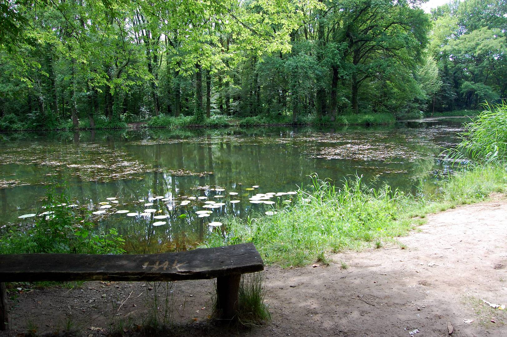 Einschattiges Plätzchen