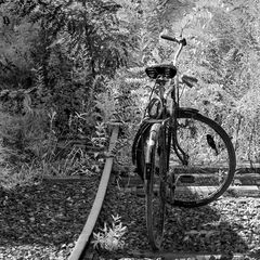 einschienenfahrrad im grünen...