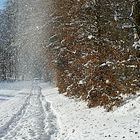 Einsetzendes Tauwetter