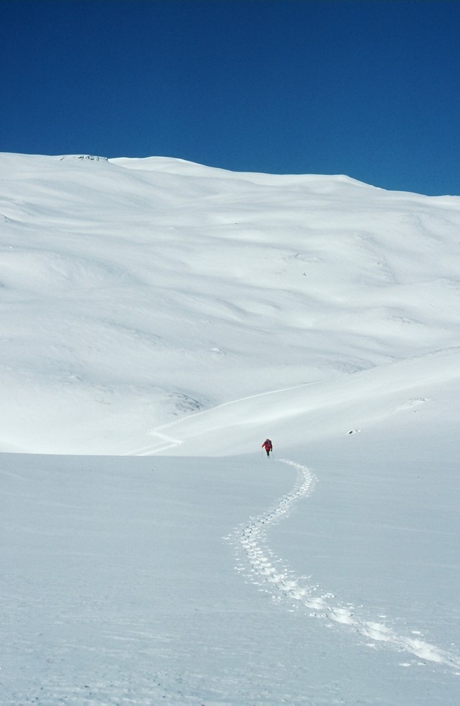 Einshorn - Val Schons