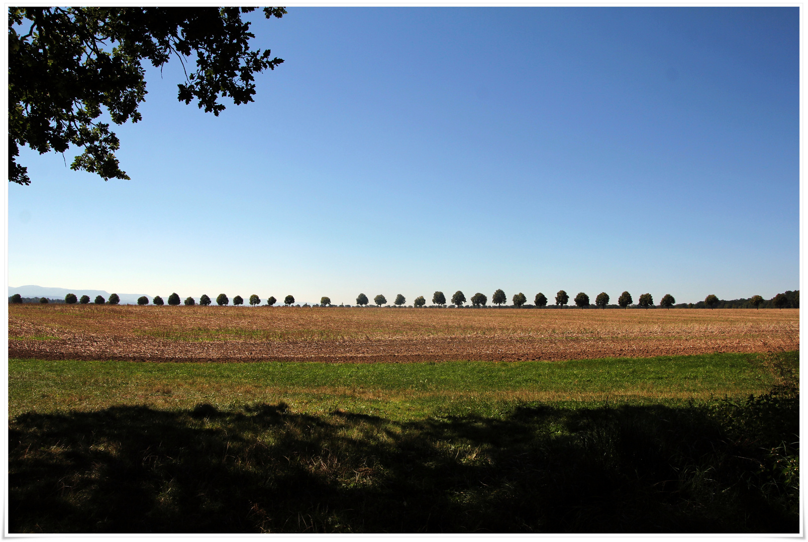 Einsiedel - Allee