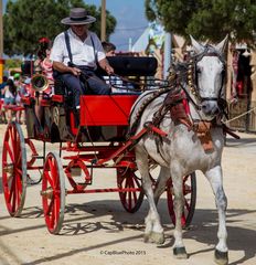 Einspänner auf der Feria Chiclana