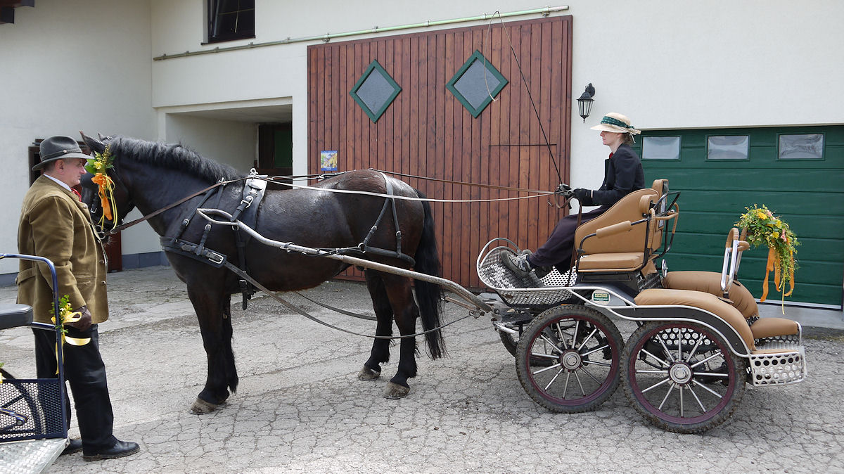 Einspänner Pferdekutsche