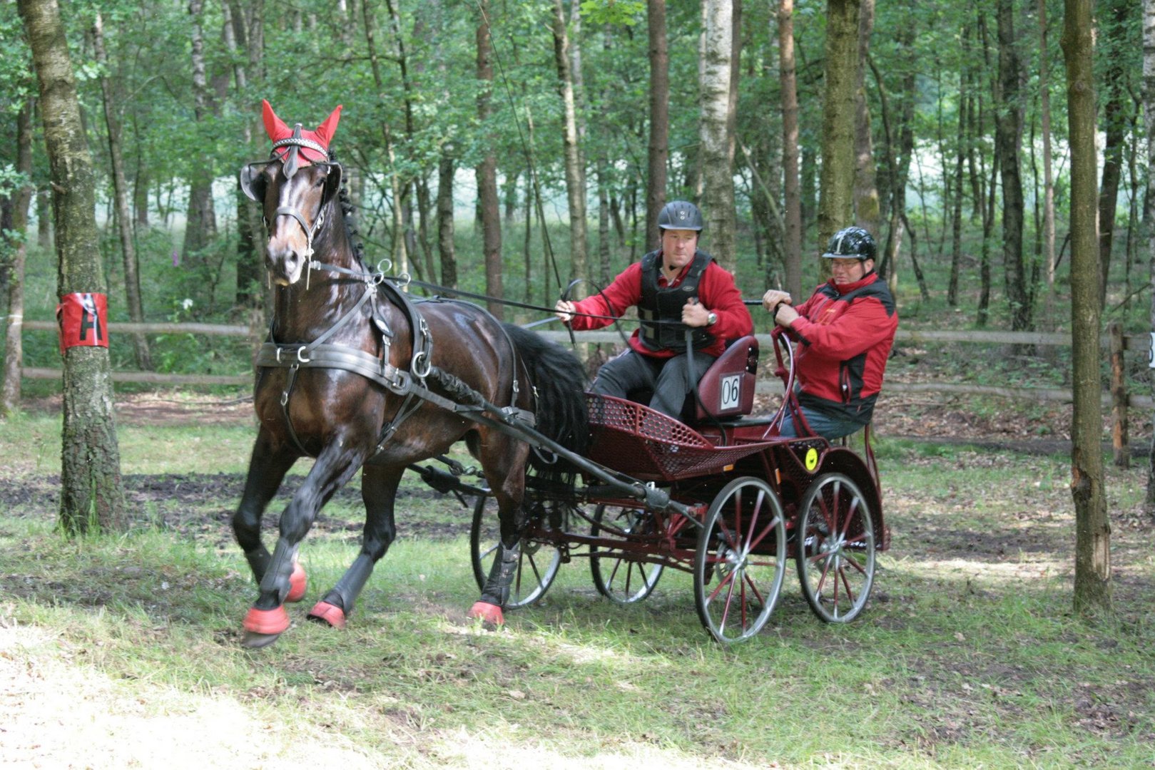 Einspännig um's Hinderniss