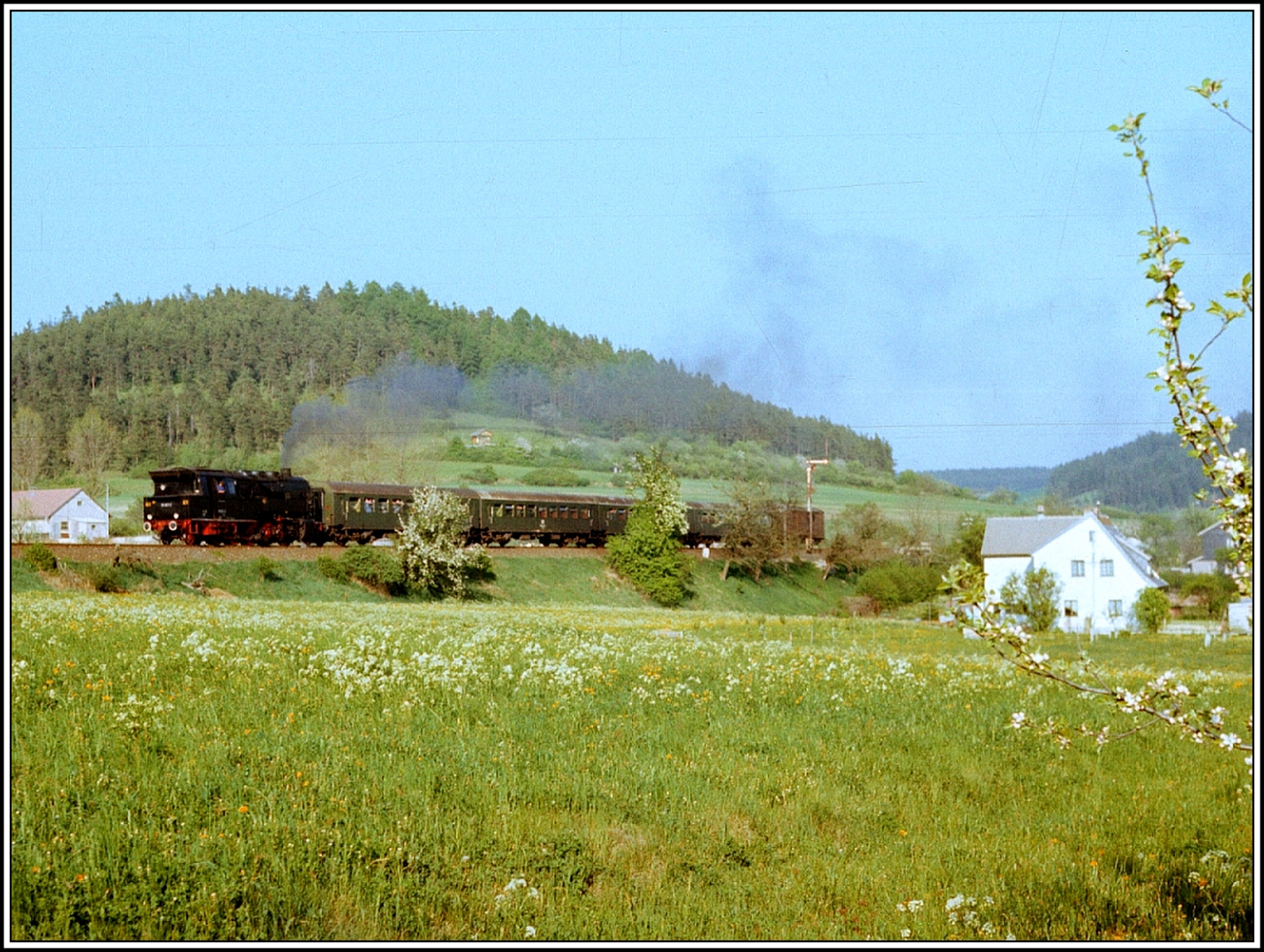 Einst 95 1027 munter im Frühling fahrend