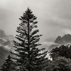 Einst am Fuße der Zugspitze