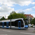 Einst im Mai (XXV)