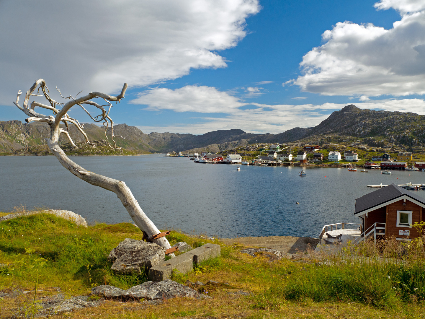 Einst stand ein Baum am Nordkapp...