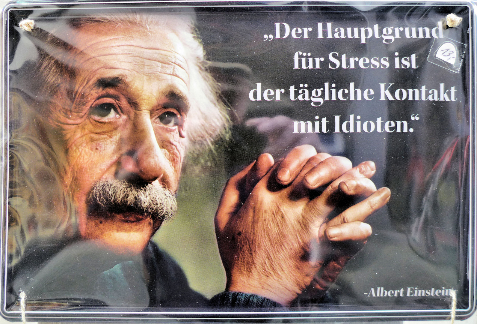 Einstein spricht