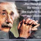 Einstein spricht