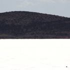 Einstein und Eberhard auf Lake Gairdner