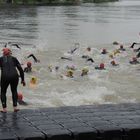 Einsteintriathlon in Ulm/Neu-Ulm