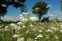 Einstimmen auf den Sommer